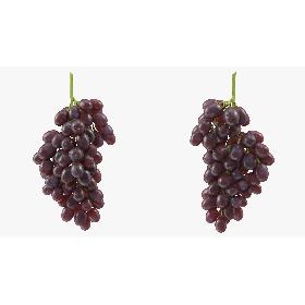 3D model Cluster of Dark Grapes